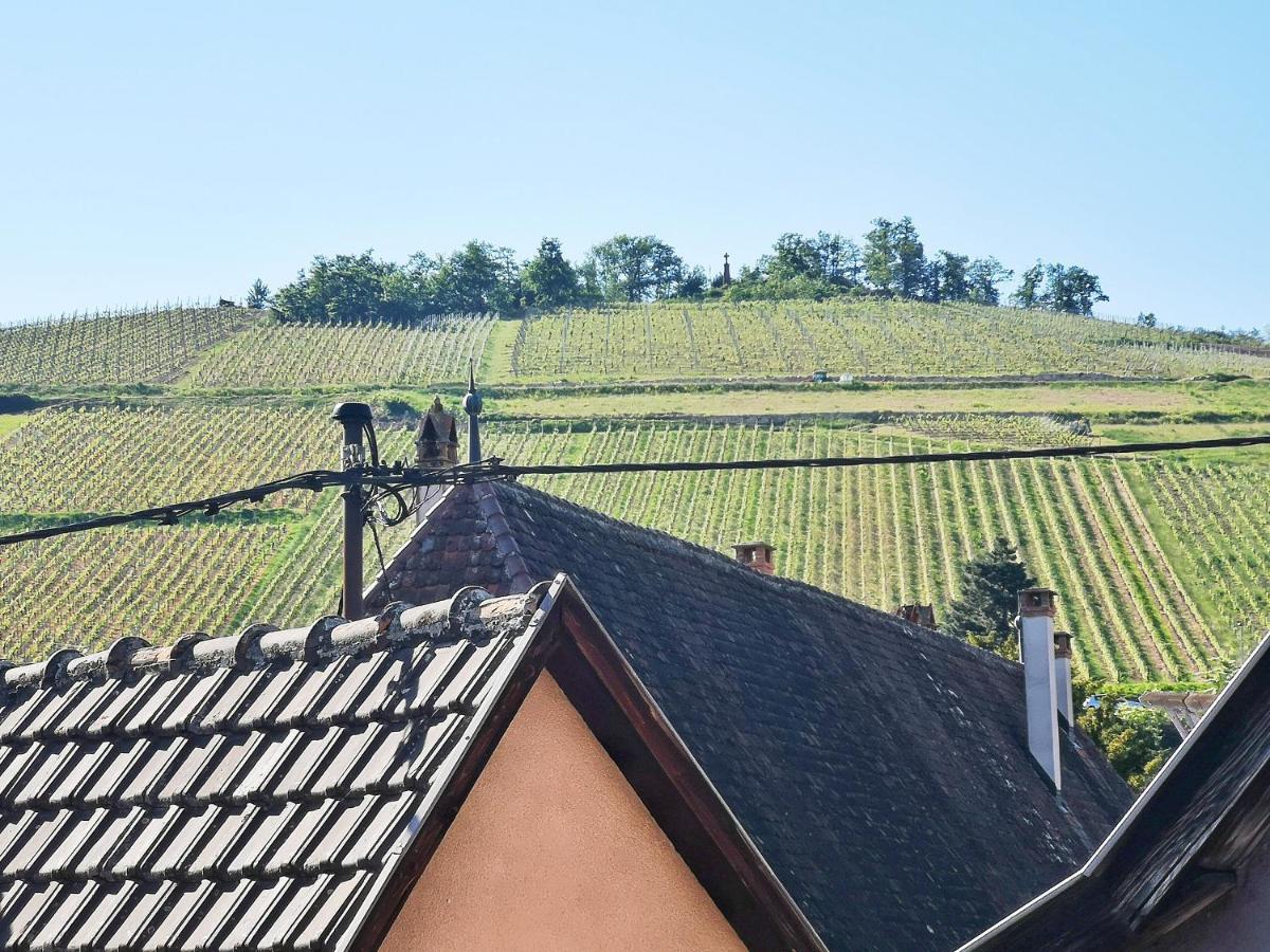✪ Le Convivial ✪ Duplex Alsacien ✪ PARKING ✪ RBNB✪ Turckheim Extérieur photo